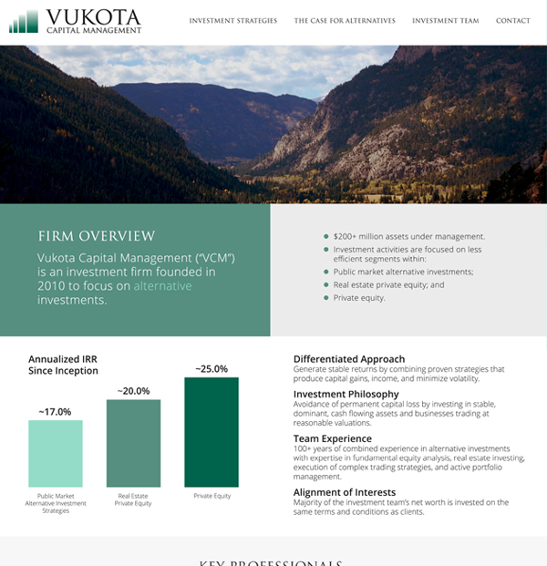 website-design-vukota